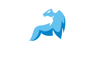 Penny Stocks Now